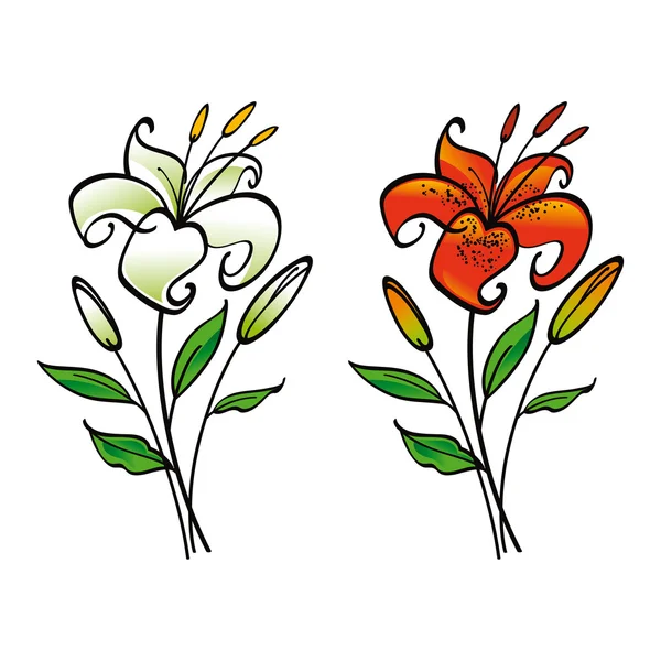 화이트와 타이거 릴리 꽃 식물 — 스톡 벡터