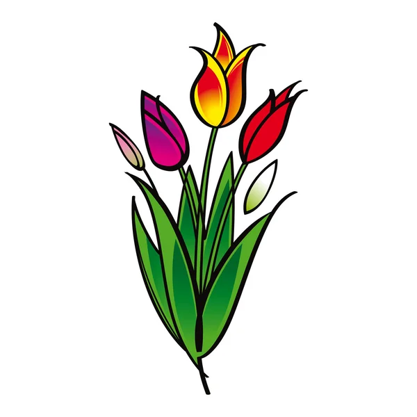 Букет цветочной флоры тюльпанов — стоковый вектор