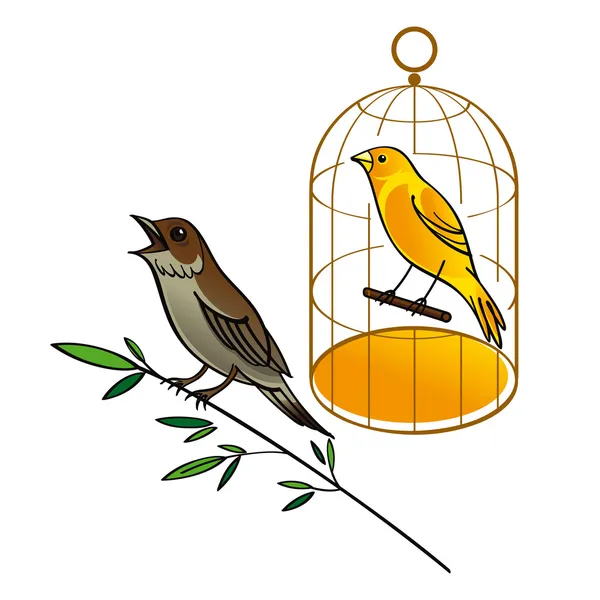 Nightingale and Canary bird fauna golden cage sing song brunch leaves — Stock Vector