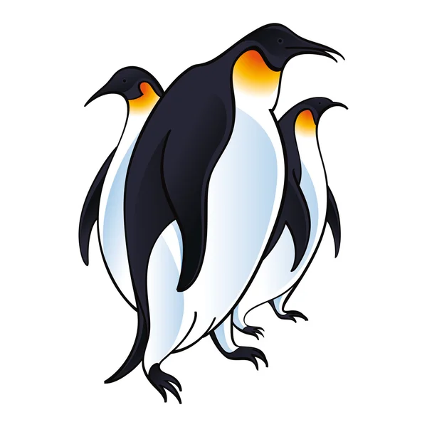 Pinguini artici fauna degli uccelli zoo — Vettoriale Stock