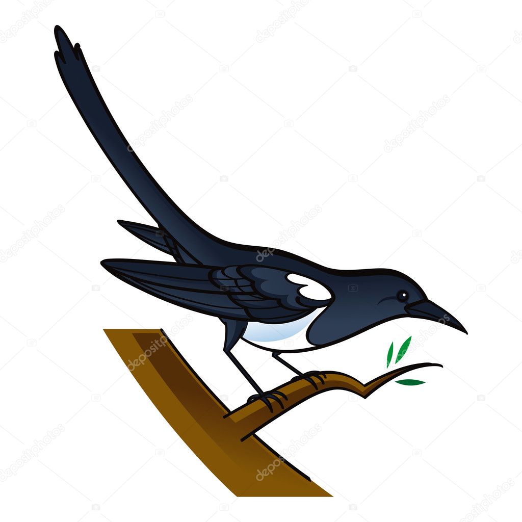 Magpie bird fauna tree