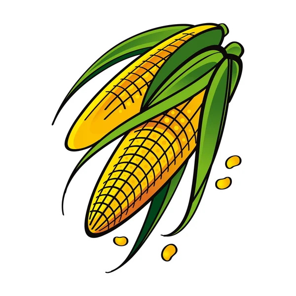 Sárga kukorica vetőmag növényi élelmiszer piac kert aratás levelek — Stock Vector