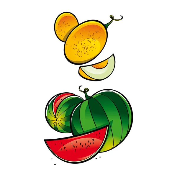 Verse meloen en watermeloen plantaardige voedsel markt tuin oogst — Stockvector