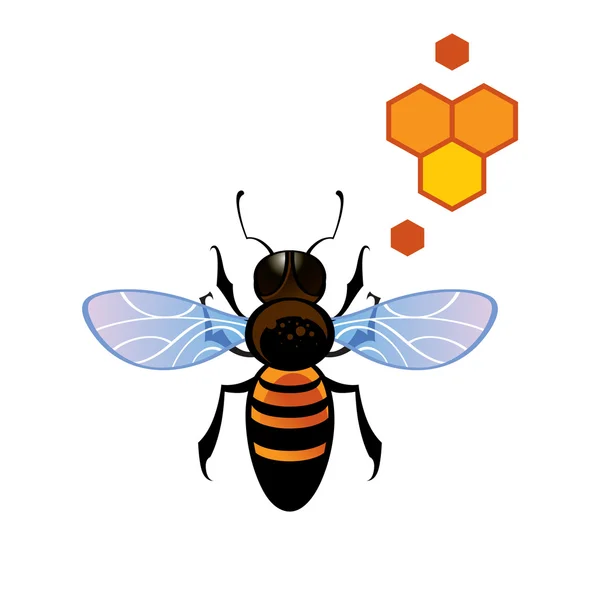 Včelí med hřeben - pracující bodnutí včela — Stockový vektor