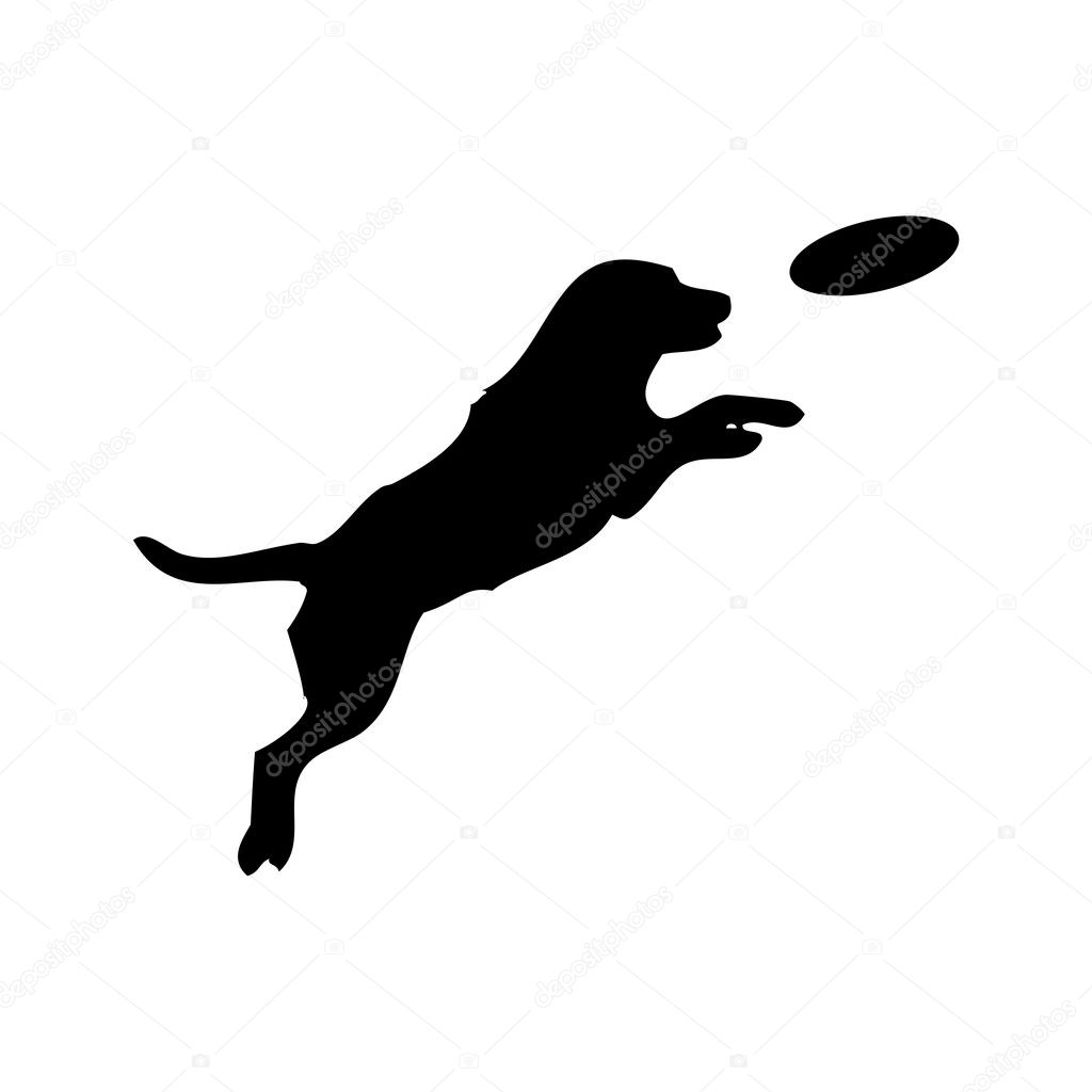 Vector black silhouette of jumping Dog and Frisbee animal pet game play