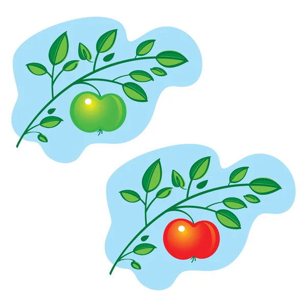 苹果树枝条 — 图库矢量图片