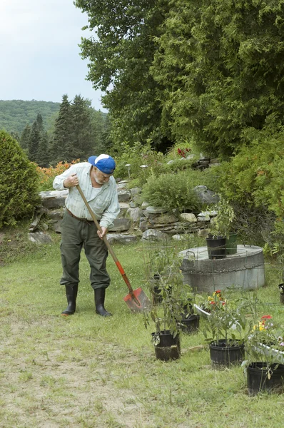 Старший активный садовник — стоковое фото