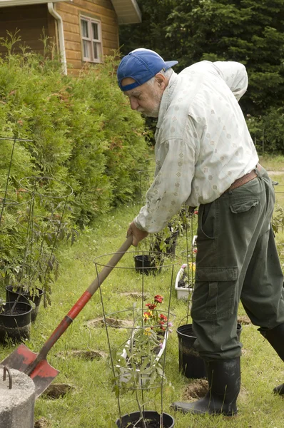 Senior aktiva trädgårdsmästare närbild — Stockfoto