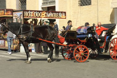 at arabası sürücüsü