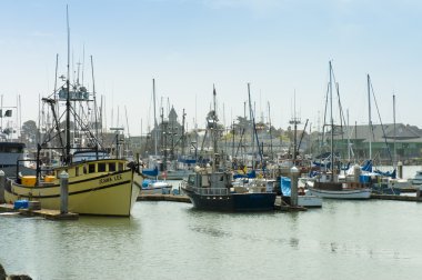 Boats on marina clipart