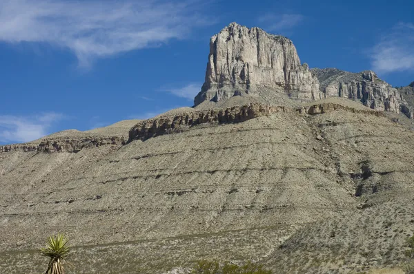 Guadalupe mountains nationalparker, — Stockfoto