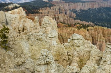 Bryce Canyon hoodoos