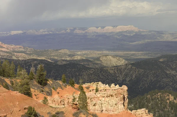 Scenic view of Ponderosa Canyon — Stock Photo, Image