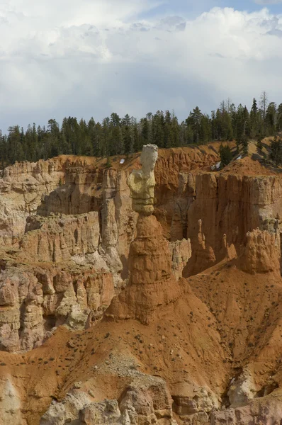 Le lapin d'Agua Point, Bryce Canyon — Photo