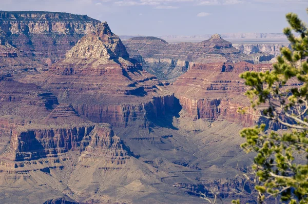 Naturskön utsikt över Grand canyon — Stockfoto