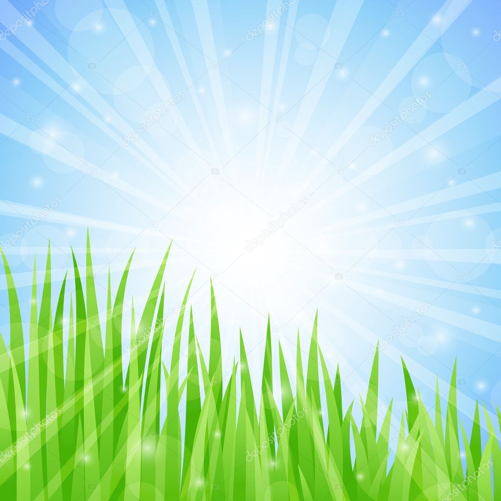 Summer Abstract Background with grass. Vector illustration.