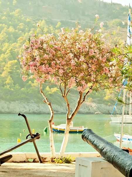 ケファロニア島、ギリシャの海岸線の風景 — ストック写真