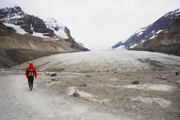 阿萨巴斯卡冰川的小路上的徒步旅行者 — 图库照片