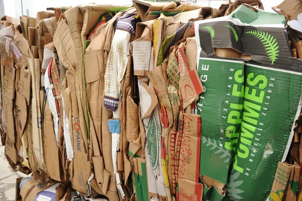 Recyklingu kartonów — Zdjęcie stockowe
