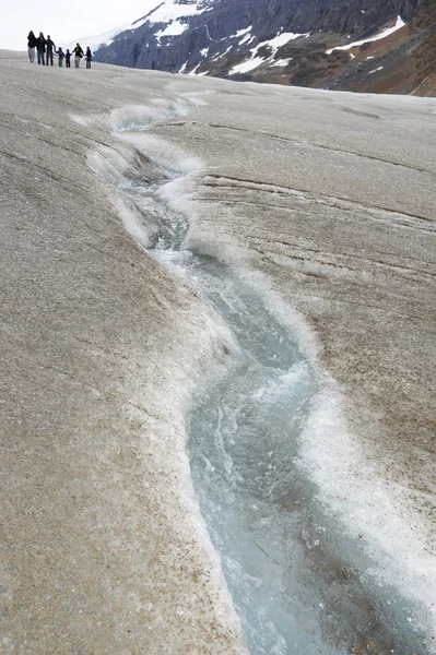 アサバスカ氷河を融解 — ストック写真