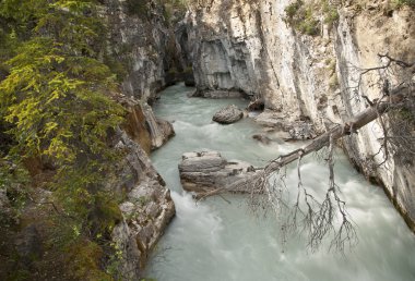 Mermer Kanyon, kottenay Milli Parkı