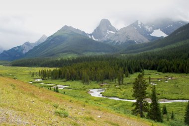 Spray Valley Provincial Park in Kananaskis Country clipart