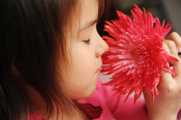 Une fille qui sent une fleur — Photo