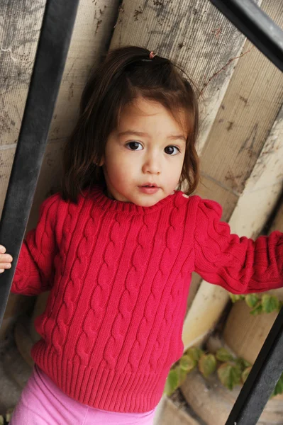 2 year old girl — Stock Photo, Image