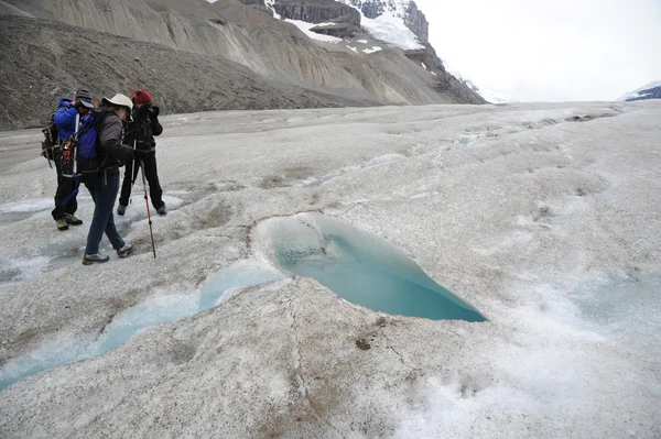 Esploratori sul ghiacciaio Athabasca — Foto Stock