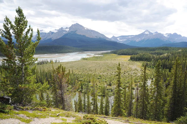 De north saskatchewan-rivier — Stockfoto