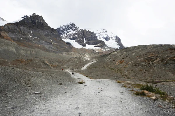Athabasca Glacier trail — Stock Photo, Image