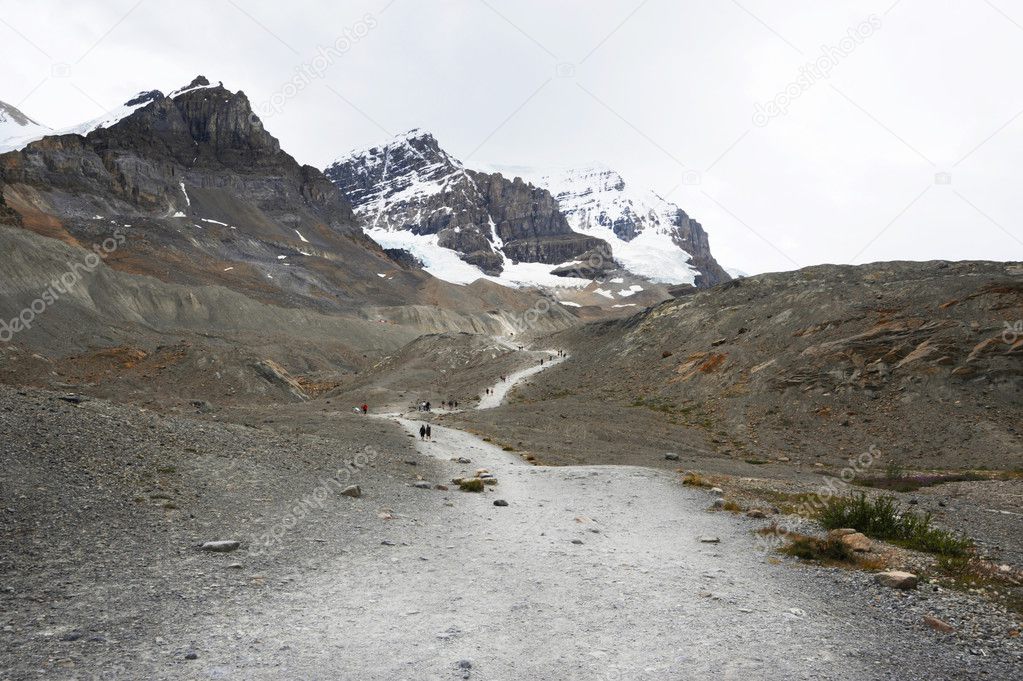 Athabasca Glacier trail
