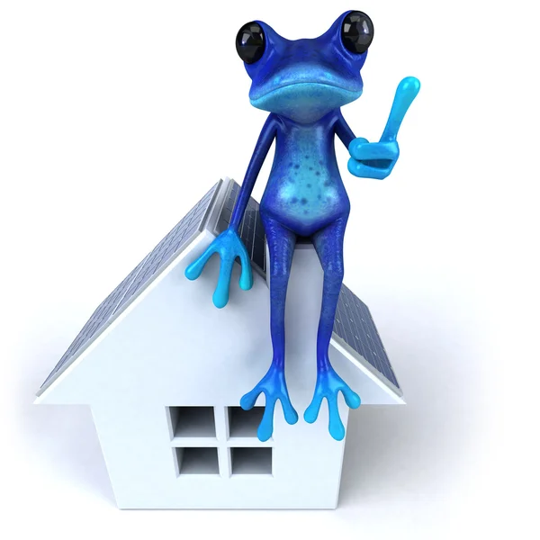 Μπλε βάτραχος με κόκκινο σπίτι — Φωτογραφία Αρχείου