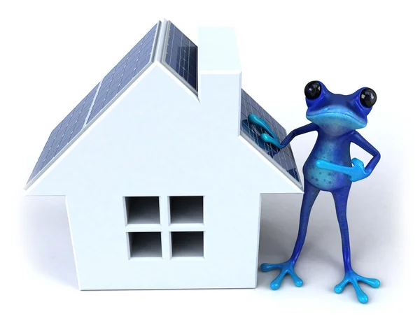 Blue frog with red house — Stock Photo, Image