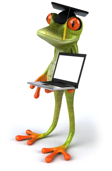 Πλοίαρχος βάτραχος με ένα φορητό υπολογιστή — Φωτογραφία Αρχείου