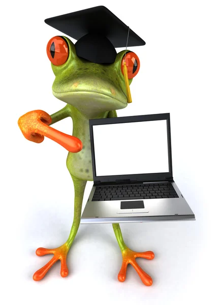 Master kikker met een laptop — Stockfoto