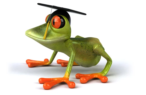 Майстер жаба — стокове фото