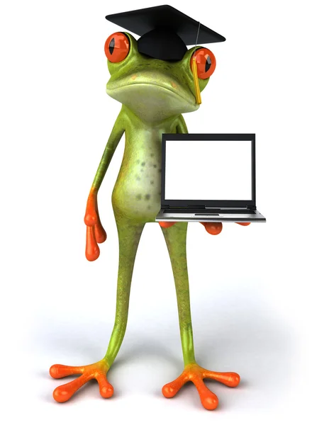Master kikker met een laptop — Stockfoto