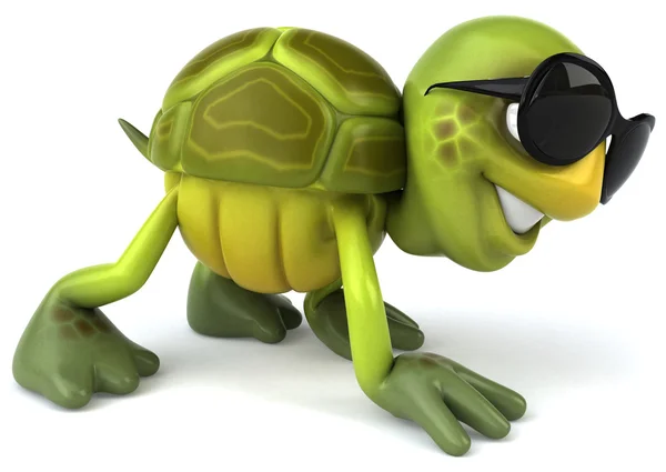 Cool черепаха — стокове фото