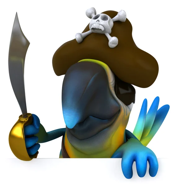 Parrot pirate — Stock Photo, Image