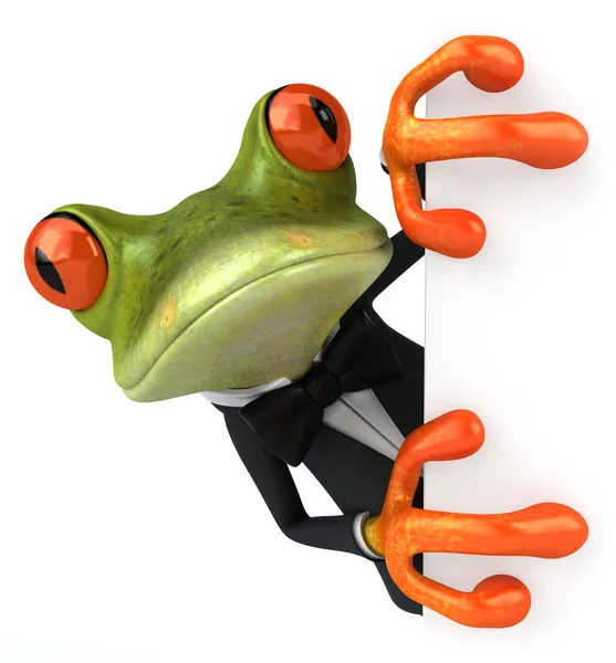 酷蛙 — 图库照片
