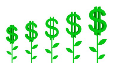 Dollar plants. clipart