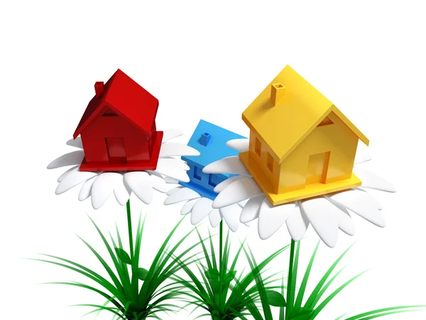 Yellow, red and blue houses on a big white flowers. — Stock Photo, Image