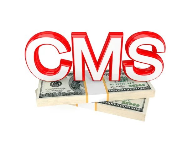 Word CMS and money packs. — Stock Photo, Image