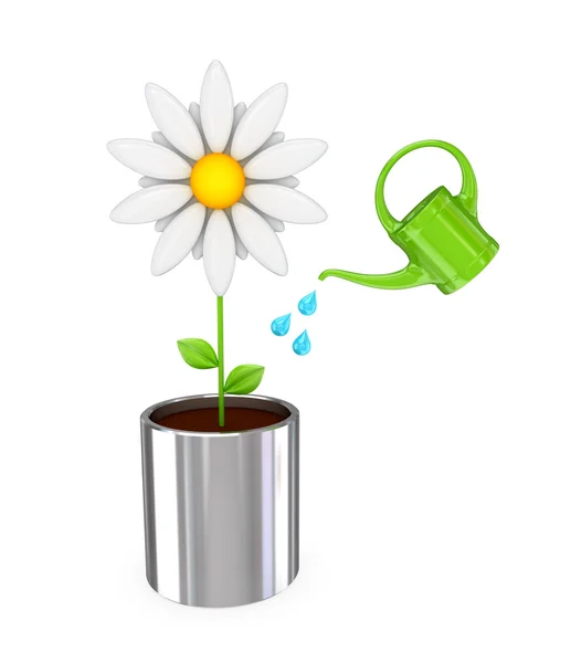 Grande fleur blanche dans un pot chromé et une annonce verte . — Photo