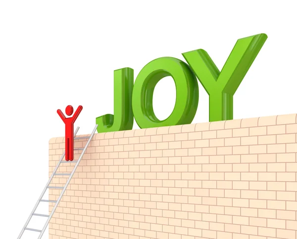 Slovo radosti na velké zdi — Stock fotografie