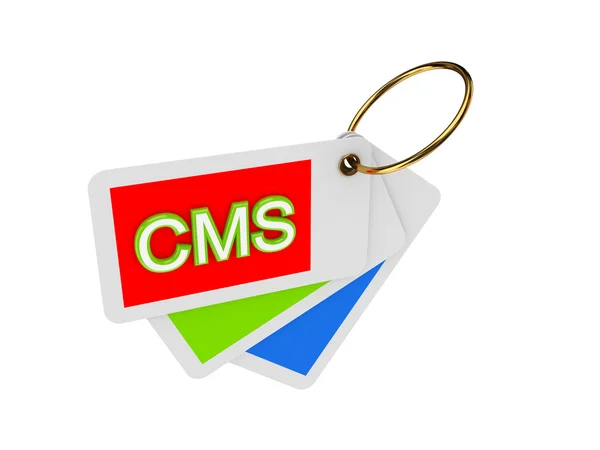 Tag colorati e parola CMS . — Foto Stock