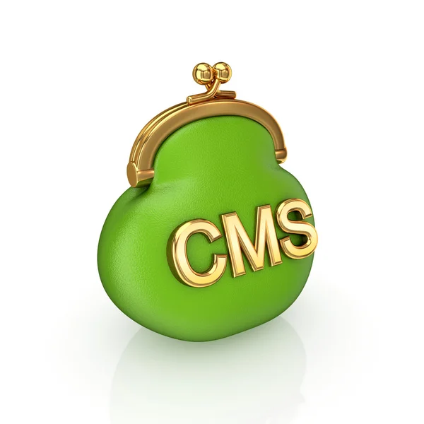 Koncepcja CMS. — Zdjęcie stockowe