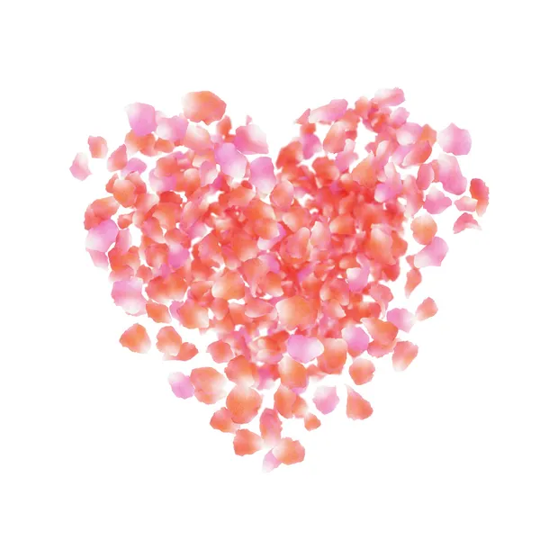 Petals heart — Stock Photo, Image