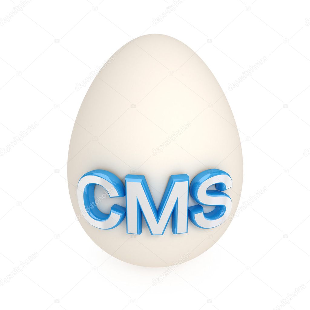 Egg shell with a word CMS .